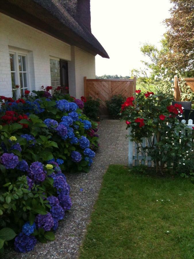 Austernfischer Haus Pellworm Exteriör bild